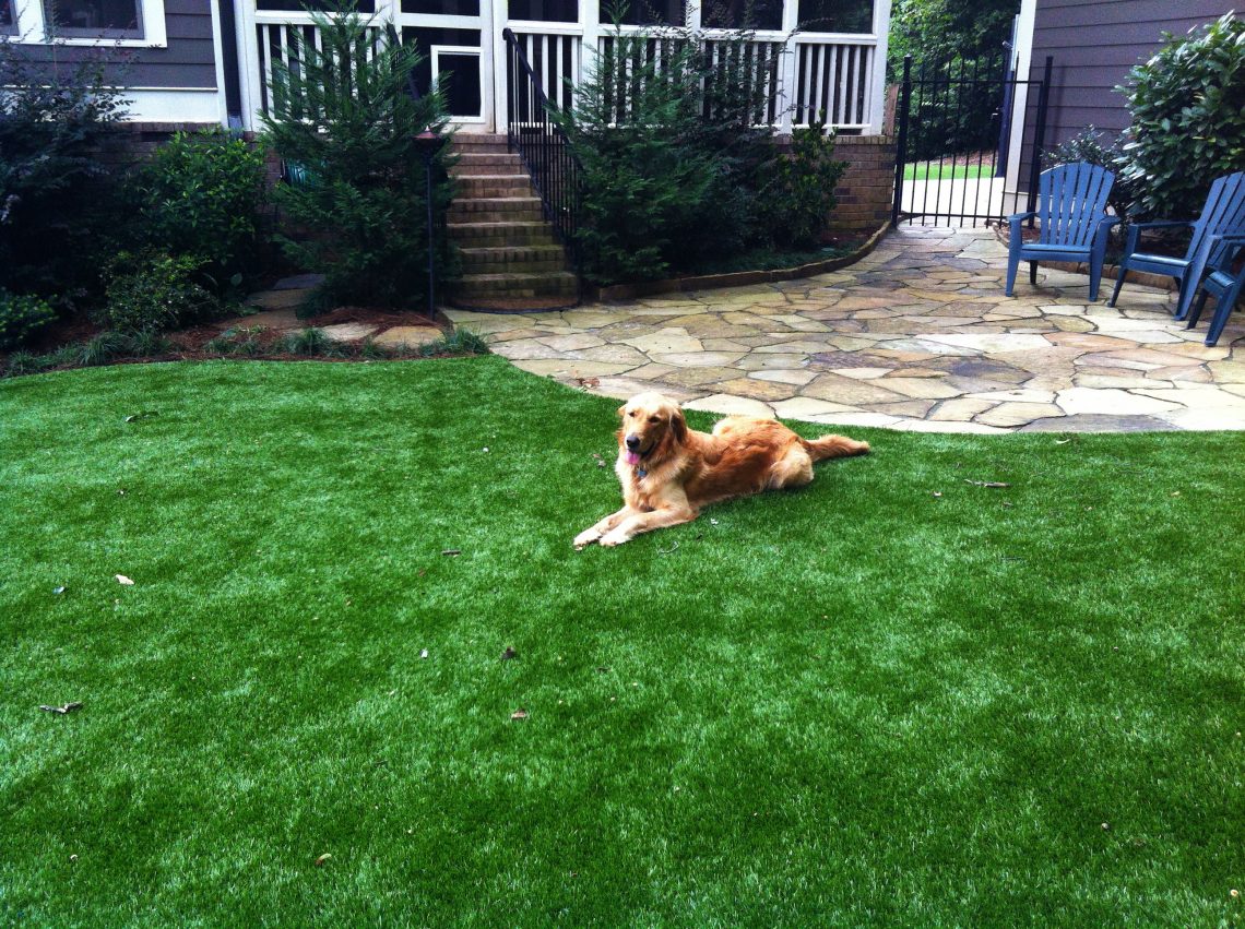 Artificial Turf For Pets | Jacksonville, Florida Turf Company